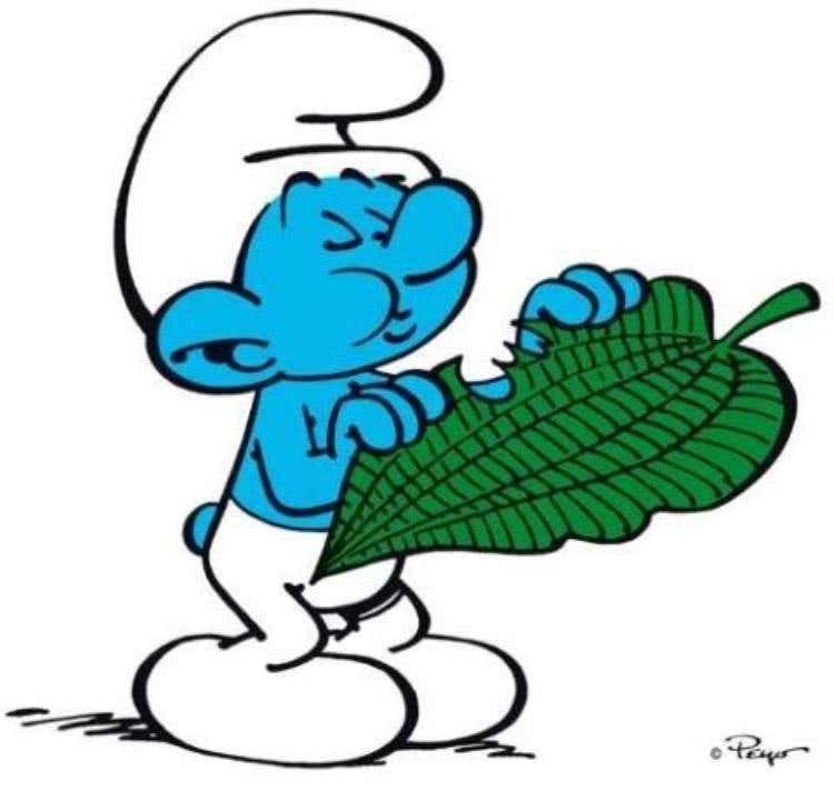 I Puffi vanno matti per le foglie di salsapariglia e per le golose pufbacche